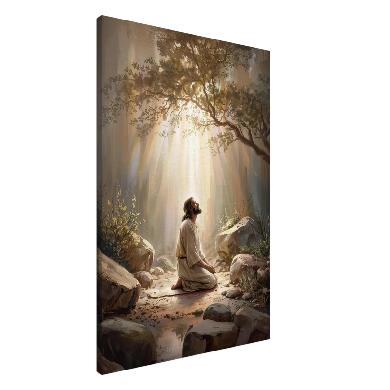 3a01583d-ae78-4ade-8ad4-b5851a2ff1be